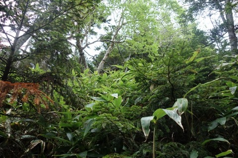 DSC05472