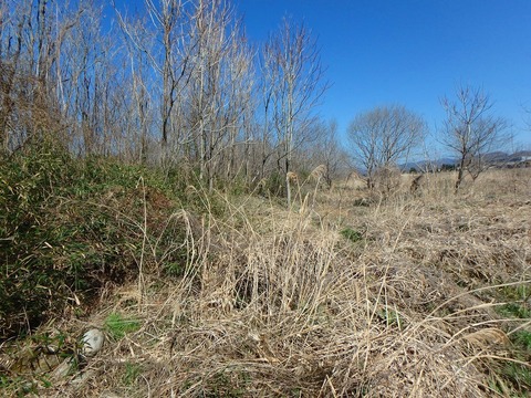 P3300049