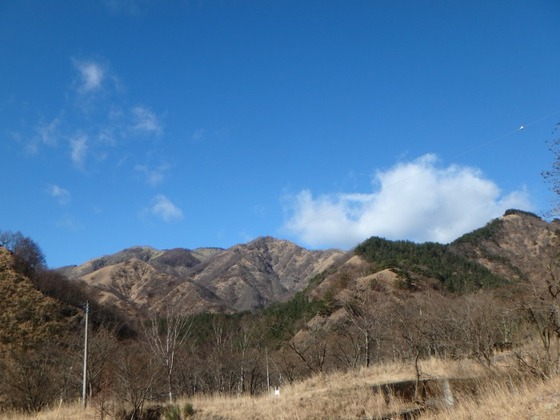 7ff5d79a.jpg