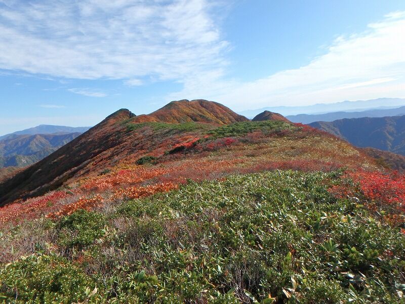 ぶらり縦走朝日連峰 二日目 狐穴小屋から以東岳 エズラ峰藪漕ぎピストンし寒江山越えて竜門小屋へ その2 踏み入る先にあるものはl ぶらり縦走朝日連峰 二日目 狐穴小屋から以東岳 エズラ峰藪漕ぎピストンし寒江山越えて竜門小屋へ その2 踏み入る先にあるものはl