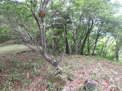 P7050271