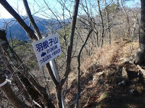 PC280307