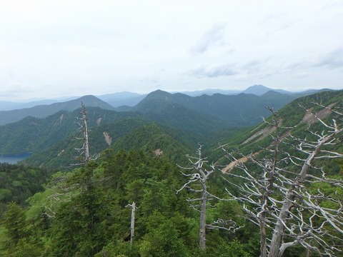 P6270331