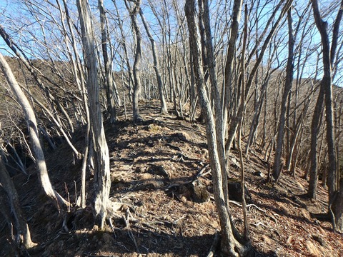 P1220008