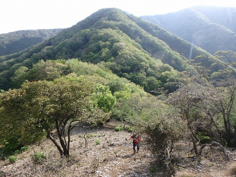P5030451