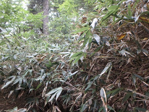 P6270407