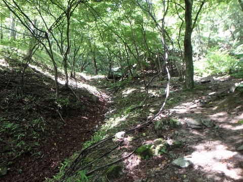 P7190016