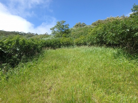 P9140332
