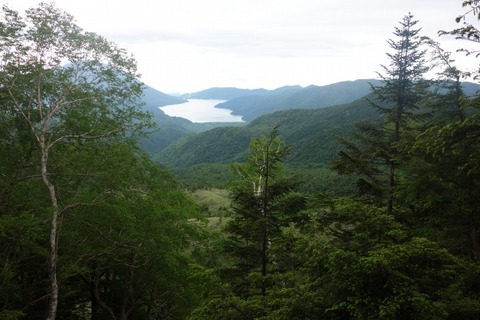 DSC05535