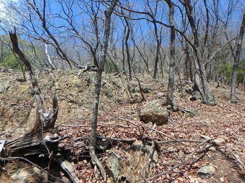 P3300132