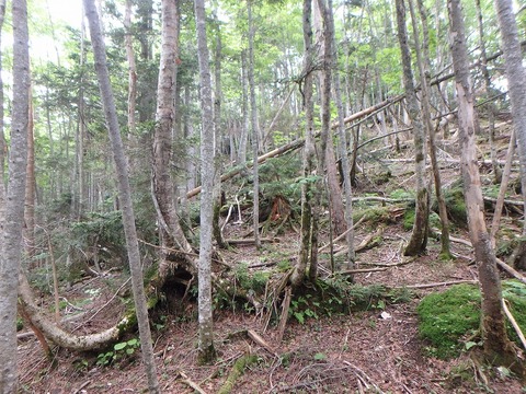 P6270388