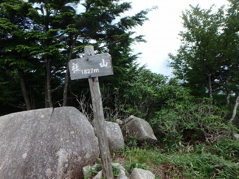 P7190103