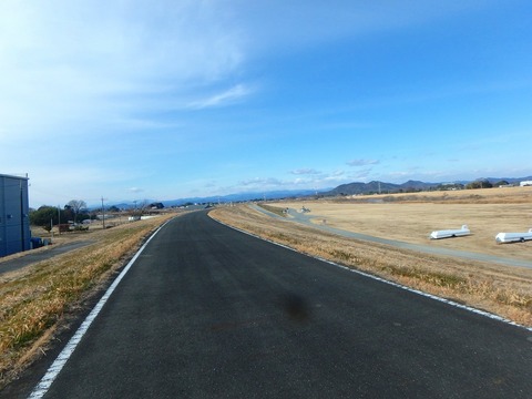 P2010007