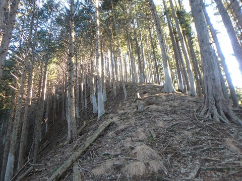 P1220006