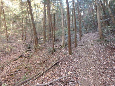 PC080267