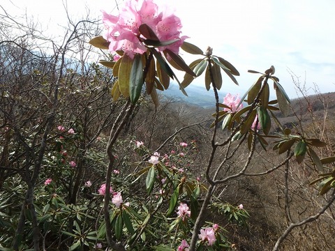 P5050134