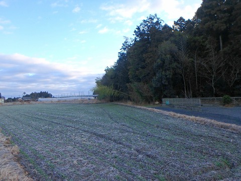 P1020016