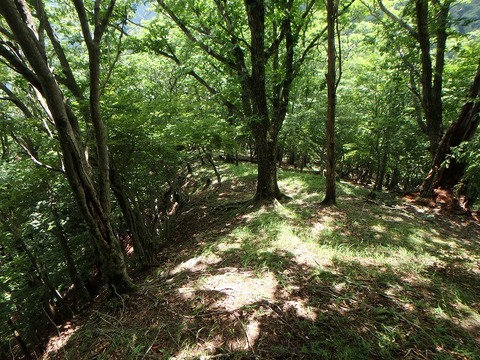P7190153