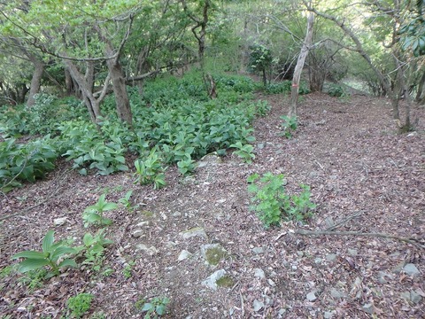 P5030440