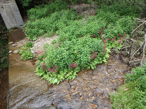 P6270460
