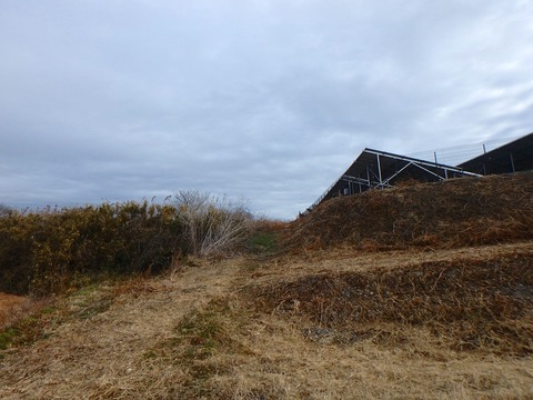 P1020062