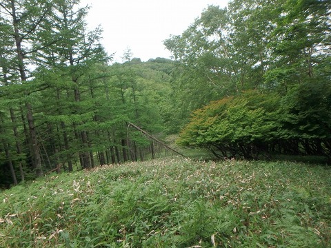 P7050261