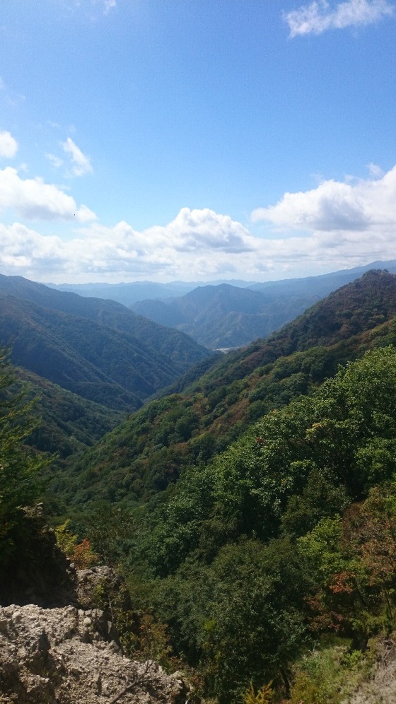 b0146c7c.jpg