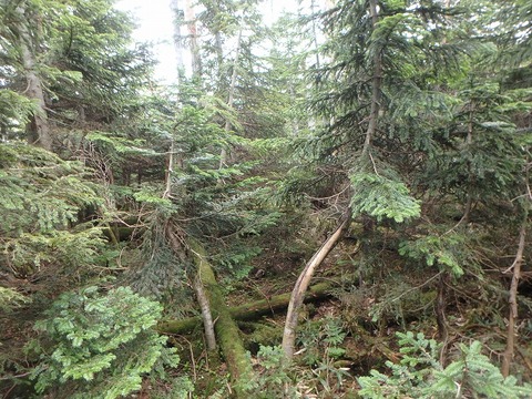 P6270315