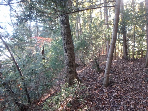 PC080082