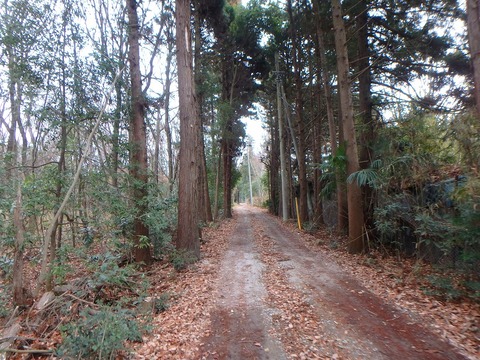 P1020048