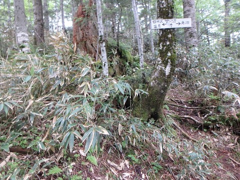 P6270437