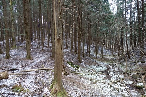 DSC00647
