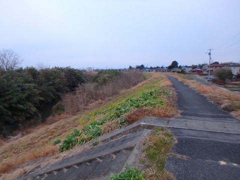 P2010091