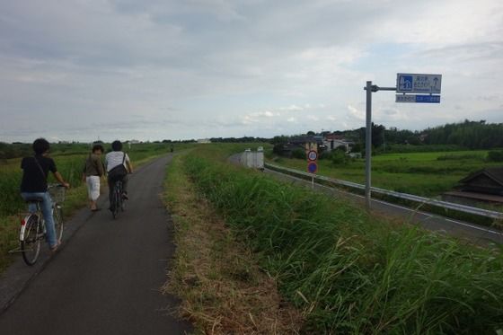 渡良瀬遊水地でポケモンゴー 踏み入る先にあるものはl
