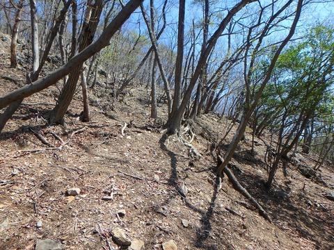 P3300122