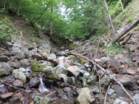 P6120063