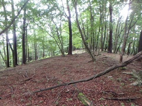 P7050294