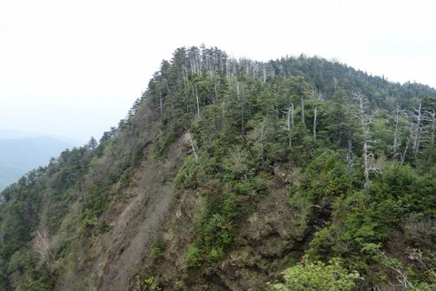 DSC04426