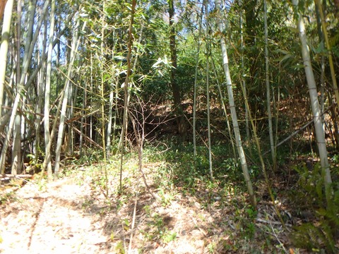 P3300114