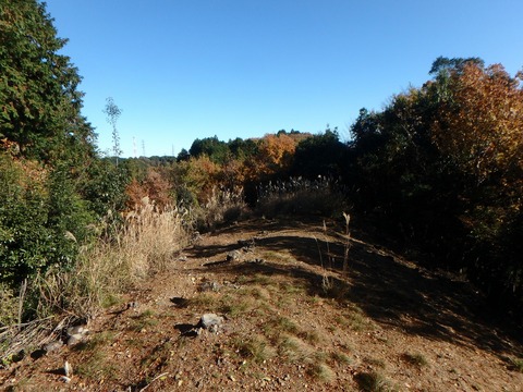 PC080101