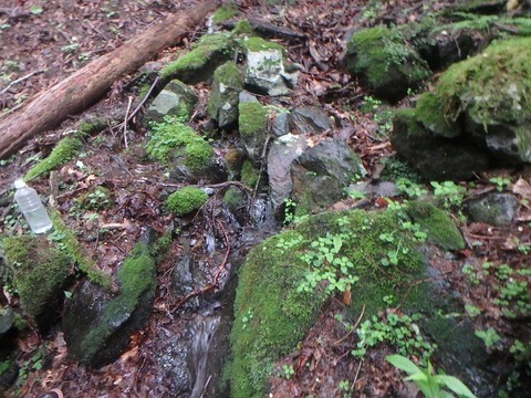 P7050205