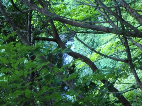 P7240051