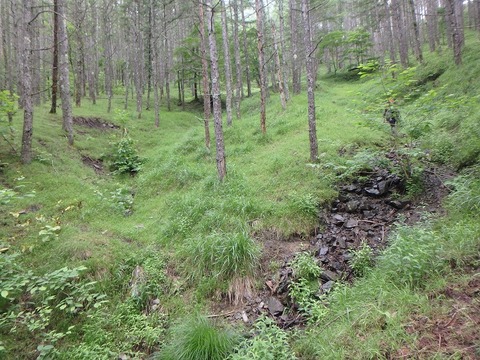P7050244