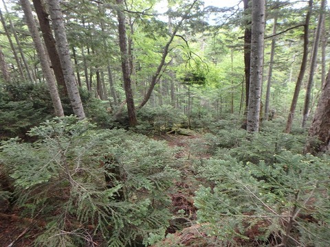P6270385