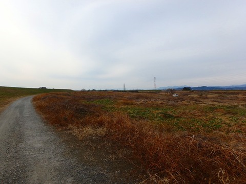 P2010038