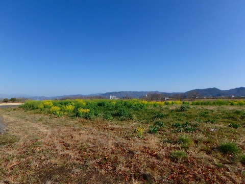 P3300027