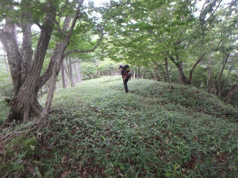 P7050279