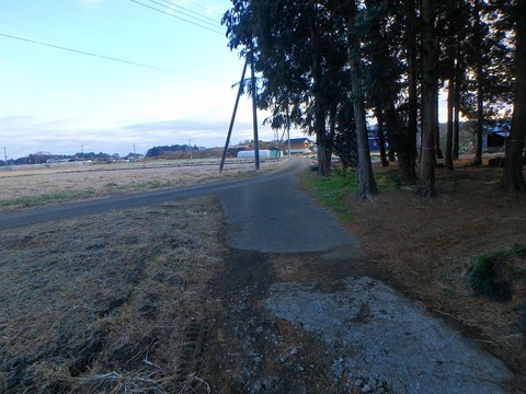 P1020028