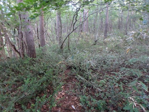 P7240037