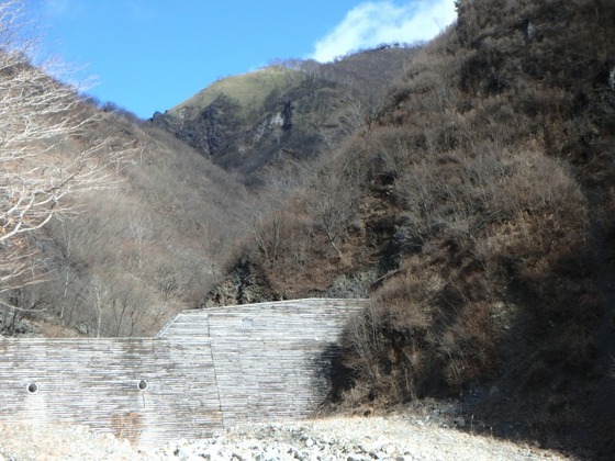 db719269.jpg